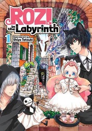 [9781645059431] ROZI IN THE LABYRINTH 1