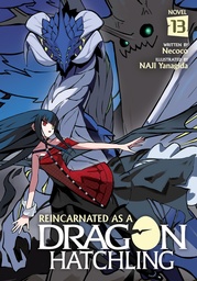 [9798897654529] REINCARNATED AS A DRAGON HATCHLING (LIGHT NOVEL) 13