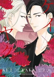 [9798888774793] KEI X YAKU: BOUND BY LAW 11