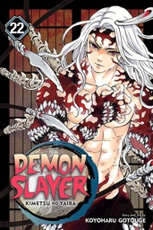 [9781974723416] DEMON SLAYER KIMETSU NO YAIBA 22