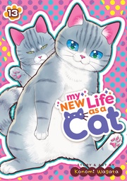 [9798893736991] MY NEW LIFE AS A CAT 13