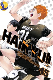 [9781974723645] HAIKYU 45