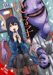 [9798855428254] MIERUKO-CHAN 12