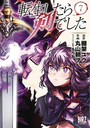 [9781648273131] REINCARNATED AS A SWORD 7