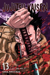 [9781974723423] JUJUTSU KAISEN 13