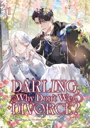[9789347195402] DARLING WHY DONT WE DIVORCE 1