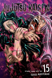 [9781974727100] JUJUTSU KAISEN 15