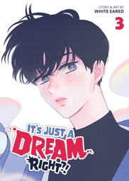 [9798895612132] ITS JUST A DREAM RIGHT 3