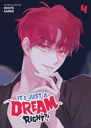 [9798895613658] ITS JUST A DREAM RIGHT 4