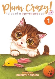[9781626925281] PLUM CRAZY TALES OF TIGER STRIPED CAT 1