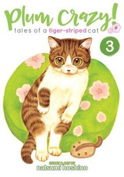 [9781626925823] PLUM CRAZY TALES OF TIGER STRIPED CAT 3