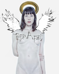 [9781614040200] SERAPH PHOTOGRAPHS BY ALLAN AMATO