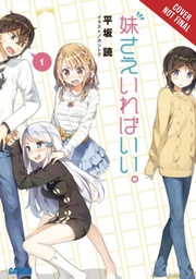 [9781975326425] SISTERS ALL YOU NEED LIGHT NOVEL 1
