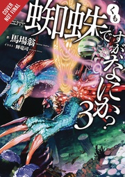 [9780316442909] SO IM SPIDER SO WHAT LIGHT NOVEL 3