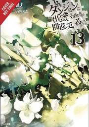[9781975328191] IS WRONG PICK UP GIRLS DUNGEON NOVEL 13