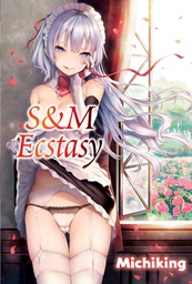 [9781634421423] S & M ECSTASY