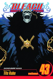 [9781421542966] BLEACH 43