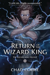 [9781506716268] RETURN OF THE WIZARD KING 1 PROSE NOVEL