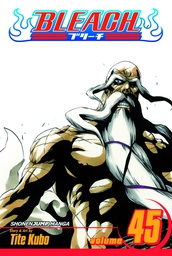 [9781421542980] BLEACH 45