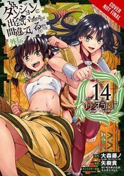 [9781975313197] IS WRONG PICK UP GIRLS DUNGEON SWORD ORATORIA 14