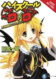 [9781975312299] HIGH SCHOOL DXD LIGHT NOVEL 3