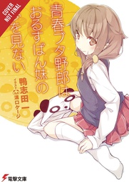 [9781975312602] RASCAL DOES NOT DREAM OF HOME ALONE SISTER LIGHT NOVEL