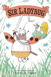 [9780063069077] SIR LADYBUG 1