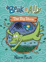 [9780063021631] BEAK & ALLY 3 BIG STORM