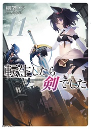 [9781638582526] REINCARNATED AS A SWORD LIGHT NOVEL 11