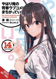 [9781975325015] YOUTH ROMANTIC COMEDY WRONG EXPECTED NOVEL 14