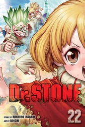 [9781974732166] DR STONE 22