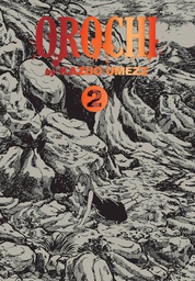 [9781974729425] OROCHI PERFECT ED 2
