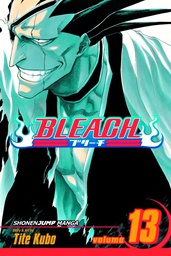 [9781421506111] BLEACH 13