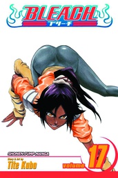 [9781421510415] BLEACH 17