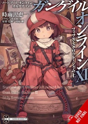 [9781975348564] SWORD ART ONLINE ALT GUN GALE LIGHT NOVEL 11