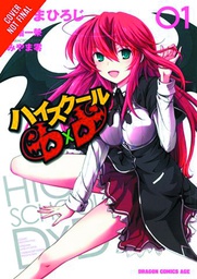 [9780316407366] HIGH SCHOOL DXD 1