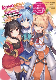 [9781975325817] KONOSUBA THIS WONDERFUL WORLD MEMORIAL FAN BOOK