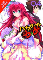 [9780316334846] HIGH SCHOOL DXD 4
