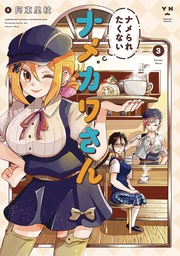 [9781638588382] NAMEKAWA SAN WONT TAKE A LICKING 3