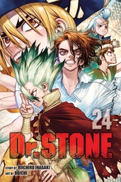 [9781974734375] DR STONE 24