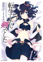 [9781638586494] REINCARNATED AS A SWORD LIGHT NOVEL 12